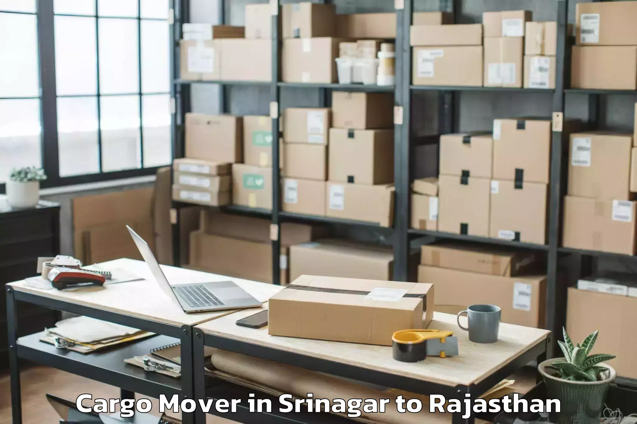 Efficient Srinagar to Rajgarh Rajasthan Cargo Mover